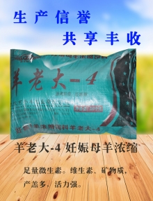 甘肃羊老大-4