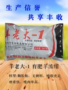甘肃羊老大-1