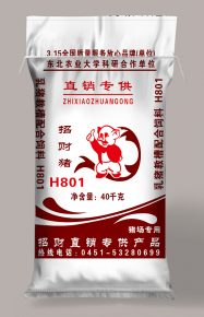 甘肃招财猪H801