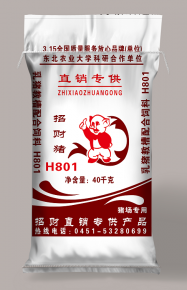 深圳招财猪H801