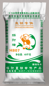 抚顺招财猪H807