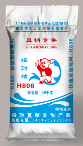甘肃招财猪H806