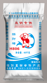 深圳招财猪H806